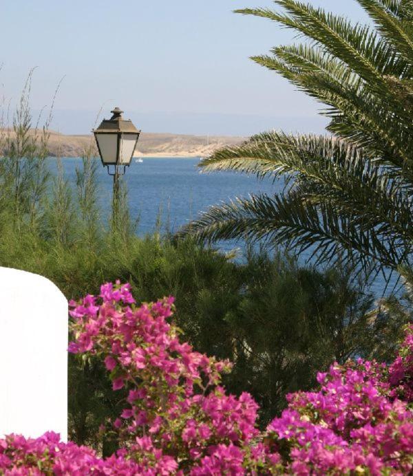 Villa Olga Playa Blanca  Exteriör bild